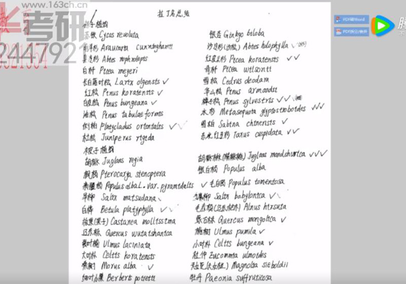 沈农园林考理论31树木花卉重点拉丁名_1